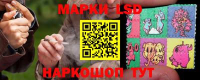 прущие грибы Среднеуральск