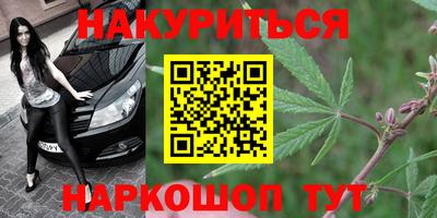 прущие грибы Среднеуральск