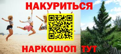 a pvp Ставрополь