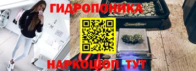 a pvp Ставрополь