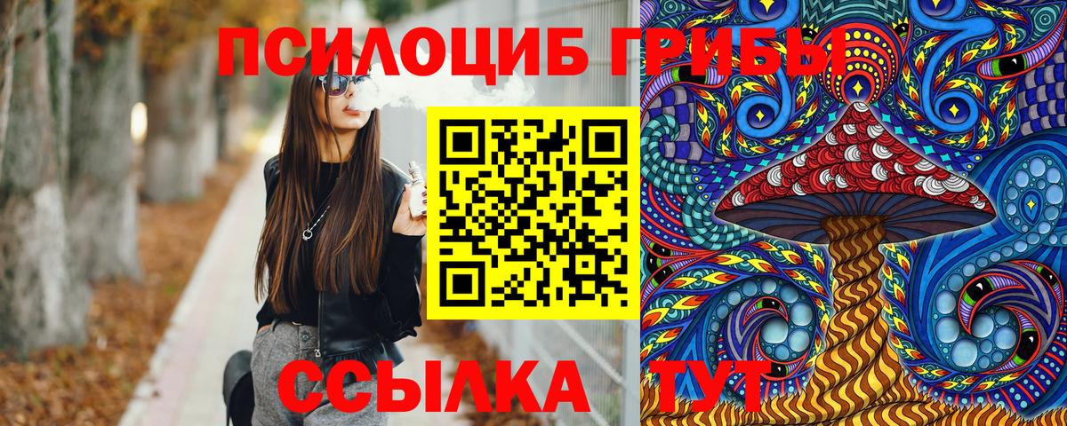 Псилоцибиновые грибы MAGIC MUSHROOMS  Вход с VPN  Новороссийск  Галлюциногенные грибы прущие грибы 